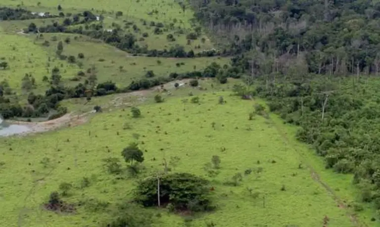 Foto: Ministério do Meio Ambiente/arquivo