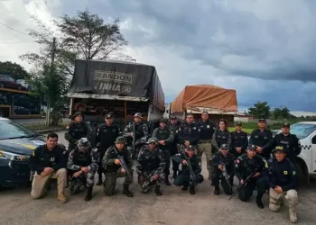 Imagem mostra policiais militares e rodoviários federais próximos de automóveis recolhidos por irregularidades e madeiras ilegais apreendidas. (Foto: Divulgação | PRF)