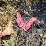 Preso companheiro de mulher encontrada carbonizada em Tucumã