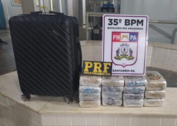 PRF e PM apreendem 15 tabletes de skunk transportados em ônibus, em Santarém/PA