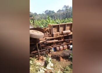 Caminhão com madeira tombou na zona rural de Alenquer — Foto: Redes Sociais