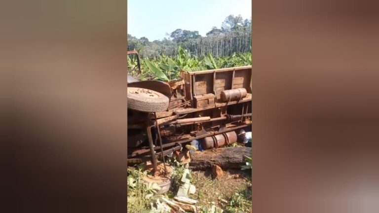 Caminhão com madeira tombou na zona rural de Alenquer — Foto: Redes Sociais