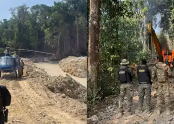 Essas ações conjuntas representam avanços significativos na luta contra o garimpo ilegal e na proteção do meio ambiente no oeste do Pará (Foto: Divulgação/PF de Santarém)