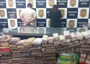 Os agentes prenderam um casal e encontraram 313 tabletes de substância semelhante à maconha, além de um cilindro com aproximadamente 100 kg de pedras, totalizando cerca de meia tonelada de droga (Foto: Divulgação/Polícia Civil)