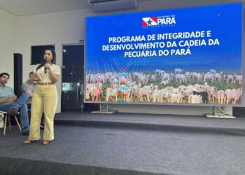 Foto: Divulgação Agência Pará