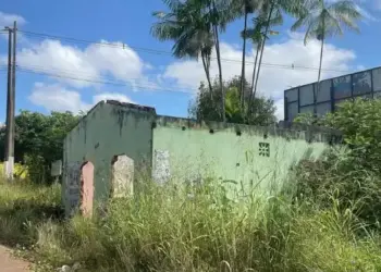 Foto do local onde o homem foi encontrado (Foto: Felipe Gabriel / Confirma Notícia)