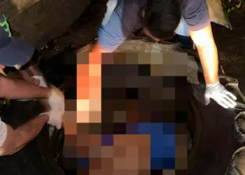 Segundo a polícia, o corpo apresentava sinais de estrangulamento, perfurações na face direita e as calças abaixadas, o que levantou a possibilidade acerca de uma possível violência sexual. (Reprodução)