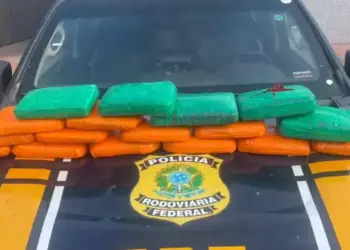 Imagem da droga apreendida (Foto: PRF Santarém)