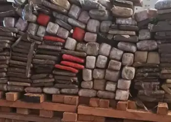 Entorpecentes apreendidos durante a ação policial (Foto: Polícia Civil)