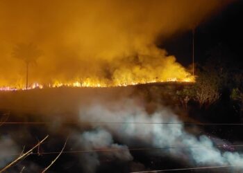 Polícia Federal está investigando o caso para tentar identificar e responsabilizar quem tem provocado os incêndios. — Foto: IBAMA