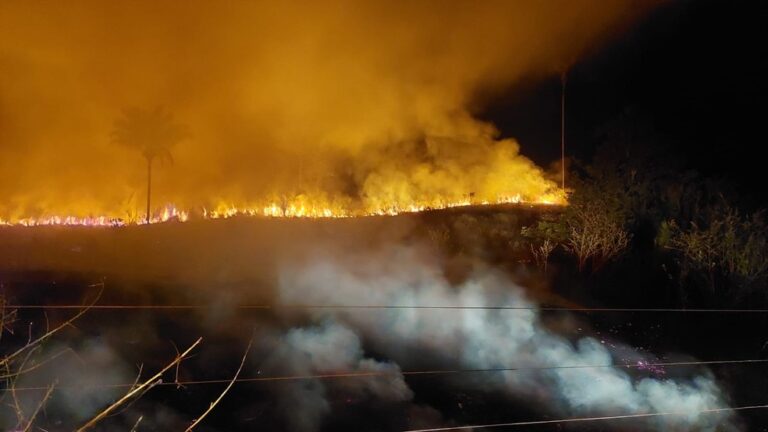 Polícia Federal está investigando o caso para tentar identificar e responsabilizar quem tem provocado os incêndios. — Foto: IBAMA