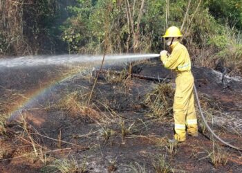 Foto: Divulgação/Norte Energia