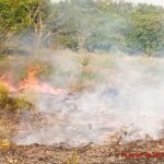 Ministério Público firma acordos para reparação ambiental e prevenção de incêndios em Altamira