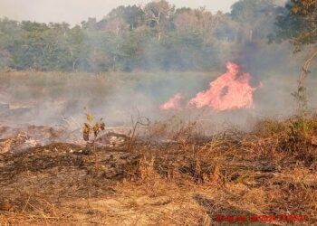 Incêndio é registrado no Ramal Água Boa, próximo à sede de Vitória do Xingu (PA)