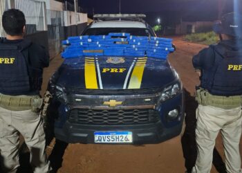 Polícia apreende 29,5 kg de maconha na BR-230, em Medicilândia/PA