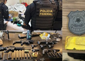 Operação da PF contra exploração de ouro ilegal no Pará — Foto: Reprodução/PF PA