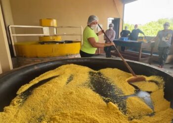 Comunidade indígena ganha primeira agroindústria de farinha certificada de Altamira
