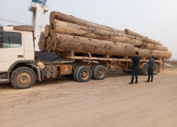 Em Jacareacanga, PC apreende caminhão e madeira ilegal durante operação ‘Oxygeni II”