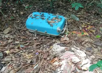 A prisão de Wandeilson, localizado na oficina mecânica onde trabalhava, foi realizada pela Polícia Civil do Pará (Divulgação/ PC)