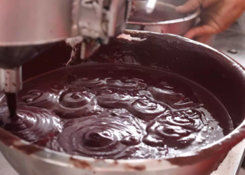 Fiscais da Sefa apreenderam carga de açaí transportada de forma irregular (Foto: Ivan Duarte / Arquivo O Liberal)