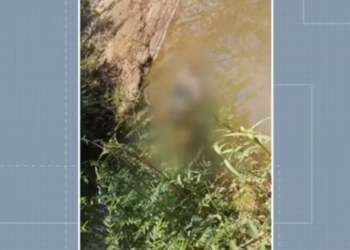 Corpo de policial penal é encontrado boiando em rio no interior do Pará — Foto: Reprodução