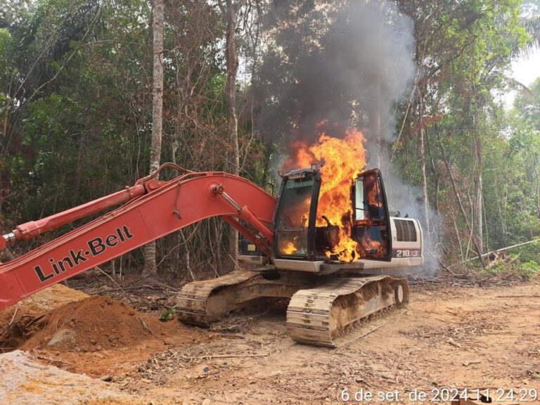 Operação combate o garimpo ilegal na Terra Indígena Kayapó, no Pará. — Foto: Divulgação/Ibama