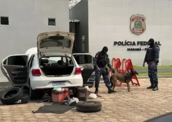 O carro do alvo foi apreendido e o canil da Guarda Municipal foi acionado para auxiliar nas buscas por entorpecentes no interior do veículo | Divulgação/PF