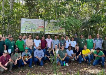 Foto: Divulgação/Agência Pará
