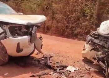 Produtores do Pará contestam operação do Ibama e reafirmam compromisso com sustentabilidade