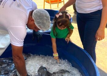 II Feira do Pescado gera renda para famílias ribeirinhas em Altamira