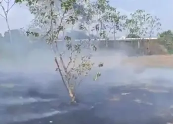 Imagem da área pegando fogo (Foto: Reprodução / Redes Sociais)