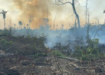 Em Novo Progresso, PF realiza prisão por posse ilegal de armas de fogo e queimada criminosa
