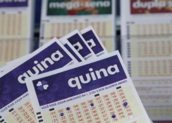 Apostador de Brasil Novo acerta a Quina e ganha mais de R$ 7 milhões