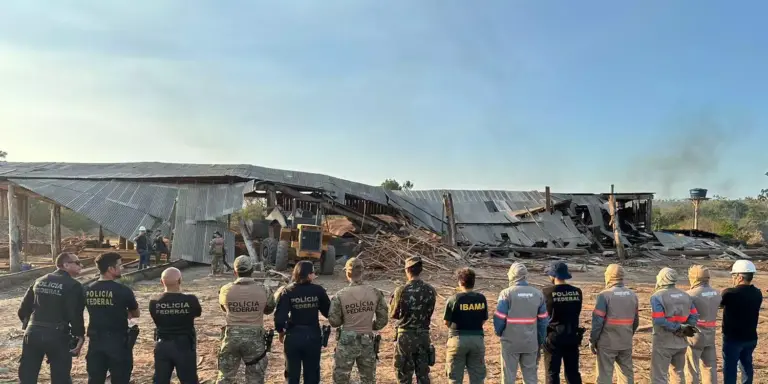 Agentes empenhados na ação de combate ao crime ambiental (Foto: Polícia Federal)