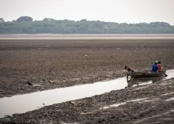 Pescadores em um córrego formado a partir do lago Aleixo, na área rural de Manaus — Foto: Getty via BBC