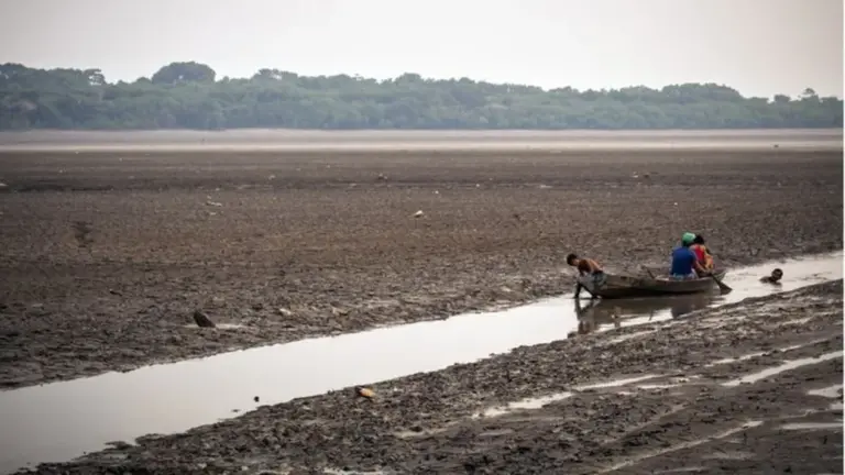 Pescadores em um córrego formado a partir do lago Aleixo, na área rural de Manaus — Foto: Getty via BBC