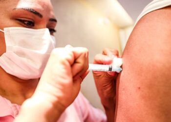 Foto: Divulgação/Agência Pará