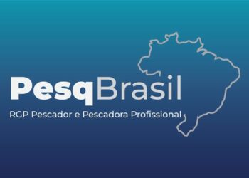 Prazo para recadastramento no Registro Geral de pescadores e pescadoras profissionais encerra em dezembro