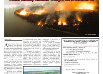 Edição 195: Jornal A Voz do Xingu