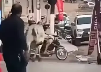 Imagem surpreendeu pessoas que estavam no local (Foto/Reprodução/Redes Sociais)