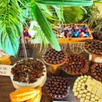 Chocolates produzidos na Amazônia conquistam o mundo