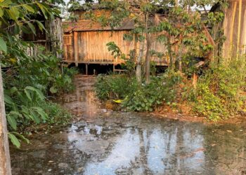 Corpo de homem é encontrado em igarapé em Altamira; polícia investiga causas da morte