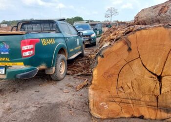 Foto: Ibama/Divulgação