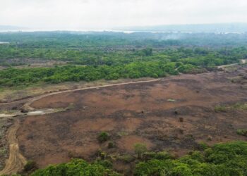 Foto: 9º GBM/Altamira