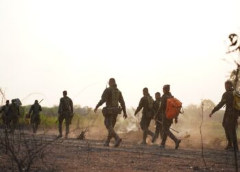 Foto: Ascom/PMA - Divulgação