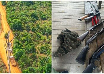 Operação "Para bellum" apreendeu armas e prendeu uma pessoa por porte irregular em Rurópolis-PA — Foto: Polícia Civil / Divulgação