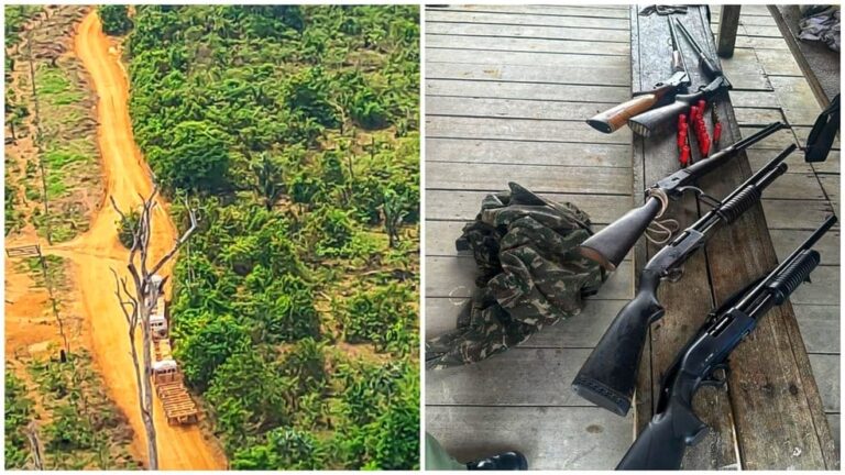 Operação "Para bellum" apreendeu armas e prendeu uma pessoa por porte irregular em Rurópolis-PA — Foto: Polícia Civil / Divulgação