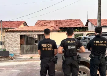 Operação para combater crimes ambientais no oeste do Pará. (Foto: Polícia Federal)