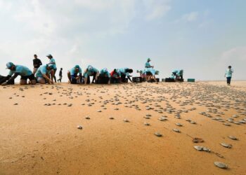 Foto: Divulgação / Norte Energia