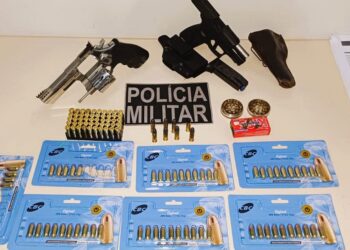 Homem é preso em Altamira por porte de armas e munições ilegais